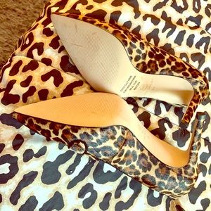 Ann Taylor Buck Loafer